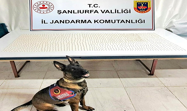 Şanlıurfa’da Binlerce Uyuşturucu Hapla Ele Geçirildi!