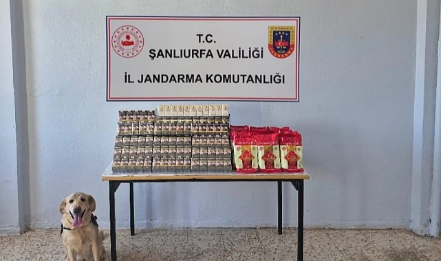 Şanlıurfa’da Kaçakçılığa Geçit Yok! Jandarmadan Tütün ve Alkol Karşı Operasyon Düzenlendi