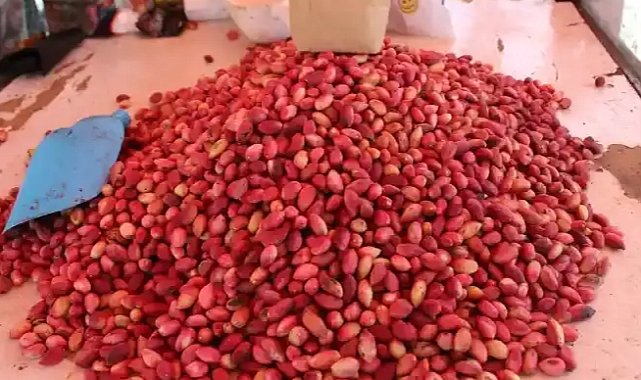 Fıstık Severlere Dikkat! Şanlıurfa’da Kilogram Fiyatları Zirve Yaptı