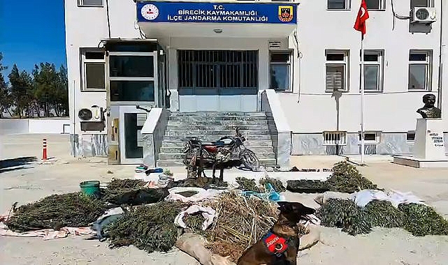 Şanlıurfa'da Uyuşturucu Operasyonu 3 Şüpheli Gözaltına Alındı!