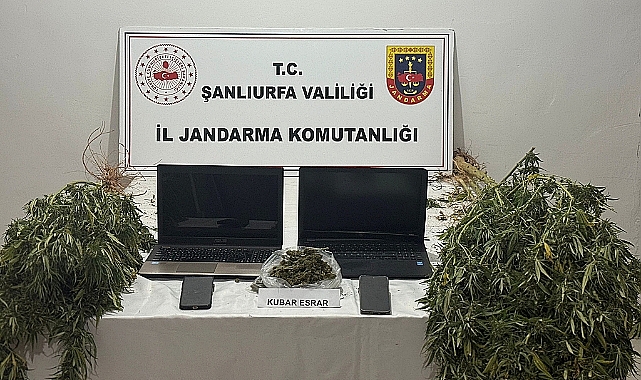 Şanlıurfa’da Uyuşturucu ve Dolandırıcılık Operasyonu! 1 Gözaltı