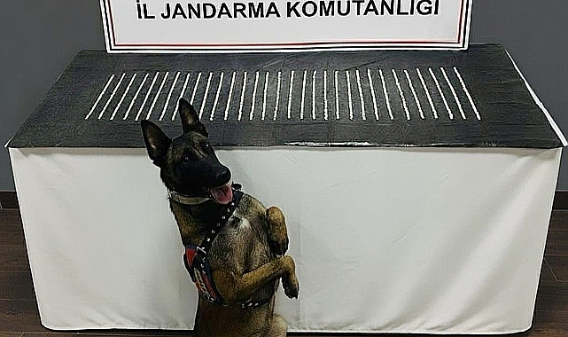 Şanlıurfa’da Narkotik Ekiplerinden Başarılı Operasyon! 3 Şüpheli Gözaltına Alındi