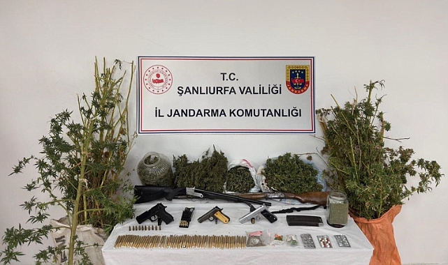Şanlıurfa’da Zehir Tacirlerine Büyük Darbe! Çok Sayıda Uyuşturucu ve Silah Ele Geçirildi