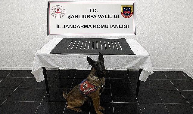 Şanlıurfa Jandarması Operasyon Düzenledi Uyuşturucu Ticareti Bozuldu!