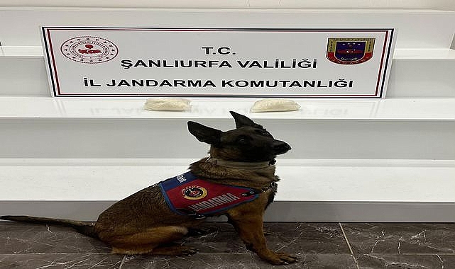 Şanlıurfa’da Büyük Uyuşturucu Baskını 2 Kilo Sentetik Madde Yakalandı
