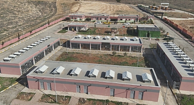 Şanlıurfa’da Sokaklar Artık Güvende 27.960 Sahipsiz Hayvan Toplandı!