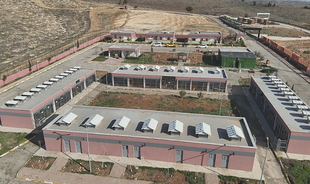 Şanlıurfa’da Sokaklar Artık Güvende 27.960 Sahipsiz Hayvan Toplandı!