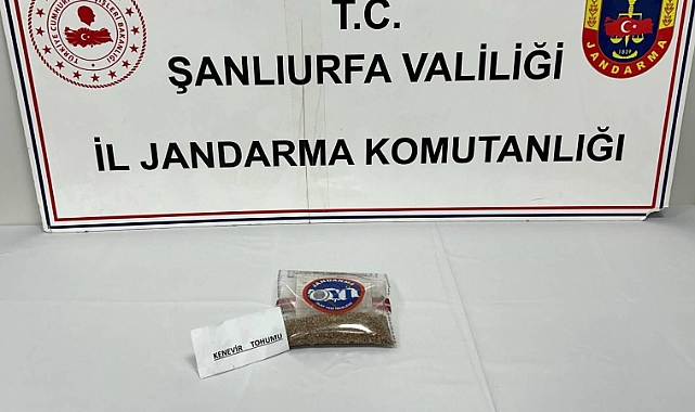 Şanlıurfa’da Uyuşturucuya Karşı Büyük Operasyon Silah ve Maddeler Ele Geçirildi!