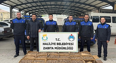 Haliliye’de Gıda Denetimleri Sıkılaştı 180 Kilo Küflenmiş Ürün Ele Geçirildi!