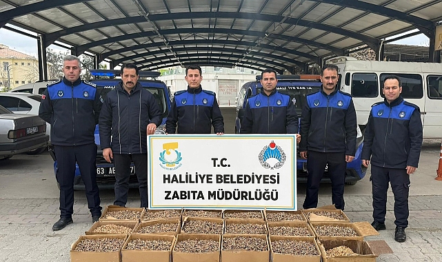 Haliliye’de Gıda Denetimleri Sıkılaştı 180 Kilo Küflenmiş Ürün Ele Geçirildi!