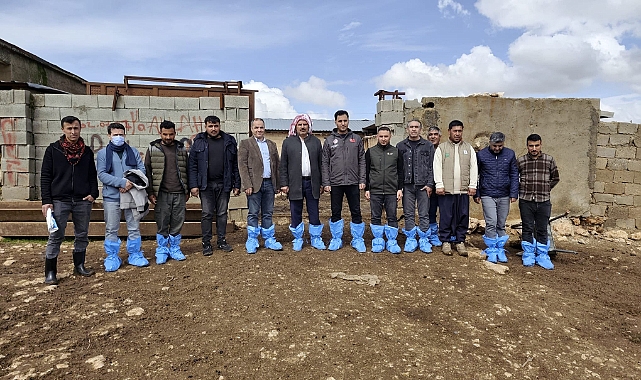 Haliliye İlçe Tarım ve Orman Müdürlüğü’nden Sürü Yönetimi Eğitimi!