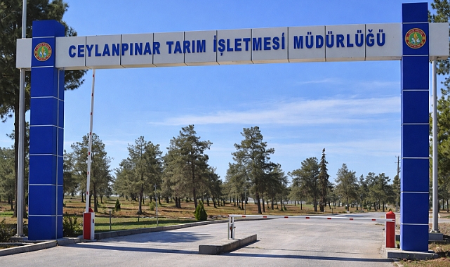 Şanlıurfa’da Dev Vurgun! 69 Kuyunun Kablolarını Çalarken Yakalandı
