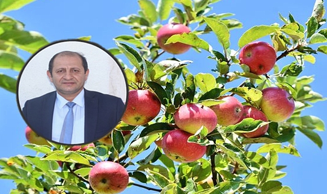 ALLAH ELMAYI AĞACA YAPTIRMAZ