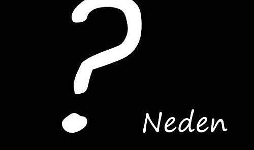 Biz Neden Gelişemiyoruz?