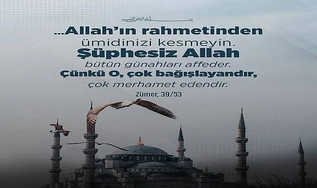 Merhamet Denizinde Boğulmak!
