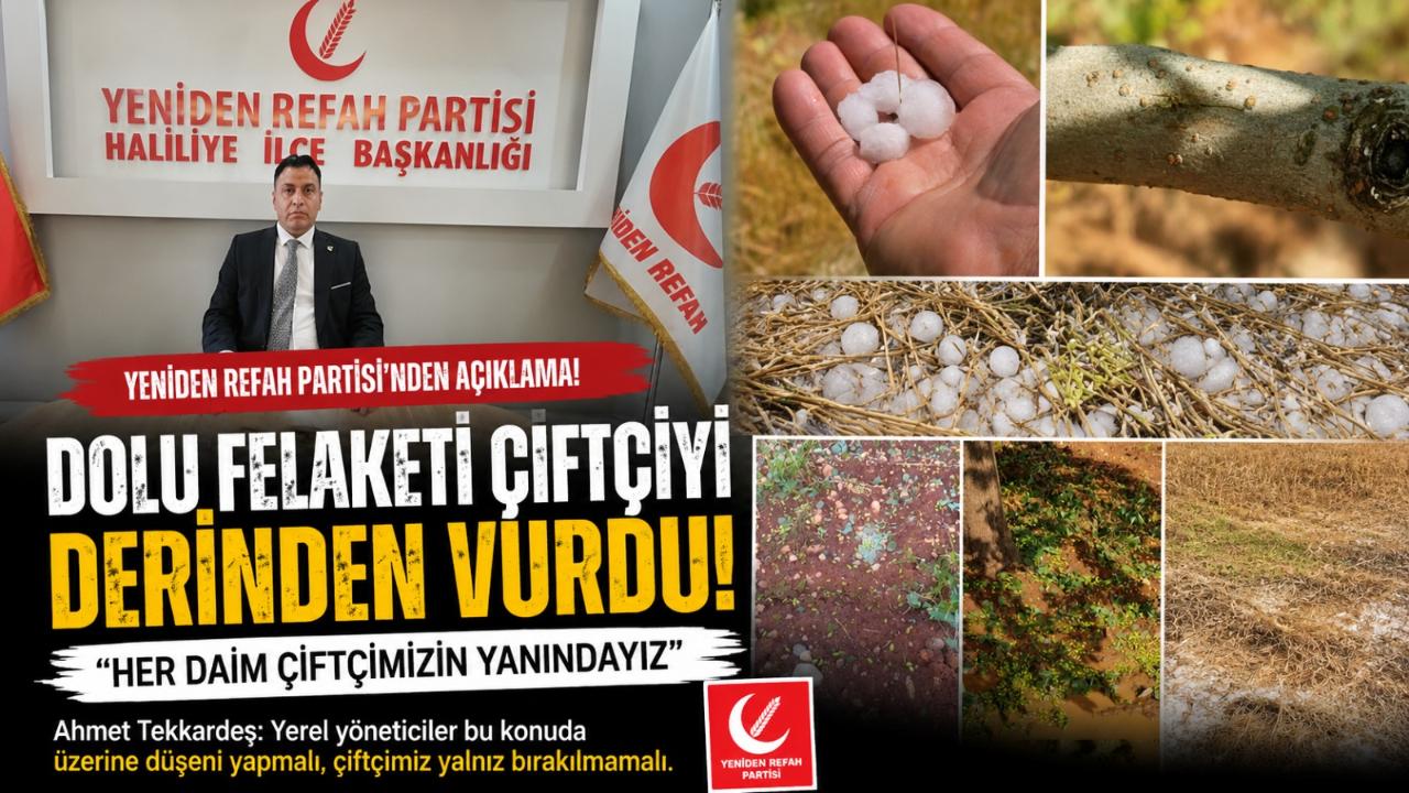 Başkan Ahmet Tekkardeş Fıstık Üreticileri Büyük Mağduriyet Yaşıyor