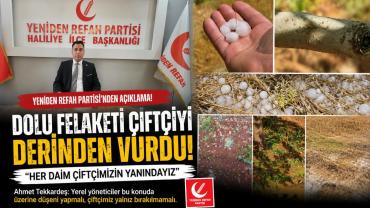 Başkan Ahmet Tekkardeş Fıstık Üreticileri Büyük Mağduriyet Yaşıyor
