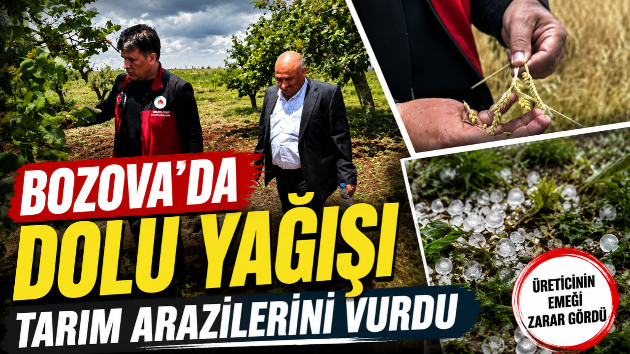 Bozova’da Tarım Alarmı! Şiddetli Dolu Yağışı Büyük Zarara Yol Açtı