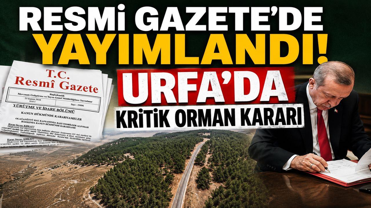 Cumhurbaşkanı Kararıyla Urfa’da Statü Değişikliği! Kritik Orman Kararı