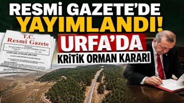 Cumhurbaşkanı Kararıyla Urfa’da Statü Değişikliği! Kritik Orman Kararı