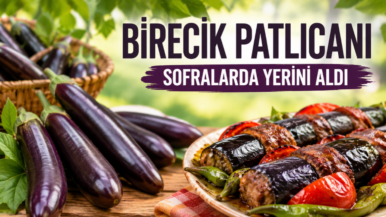 Fırat’ın Bereketi Sofralara Taşınıyor Birecik Patlıcanı Bölgenin Gözdesi Oldu!