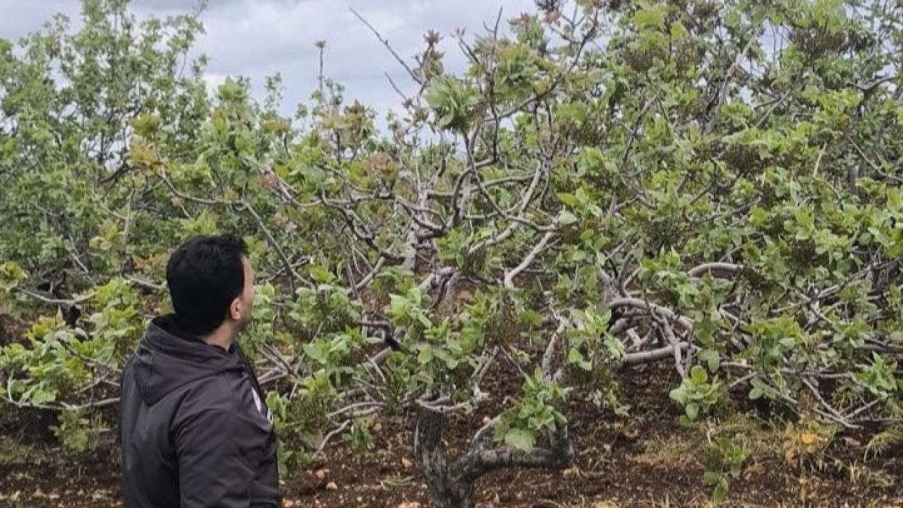 Müdür Faruk Çetiner Üreticileri Uyar! Sahayı İhmal Etmeyin