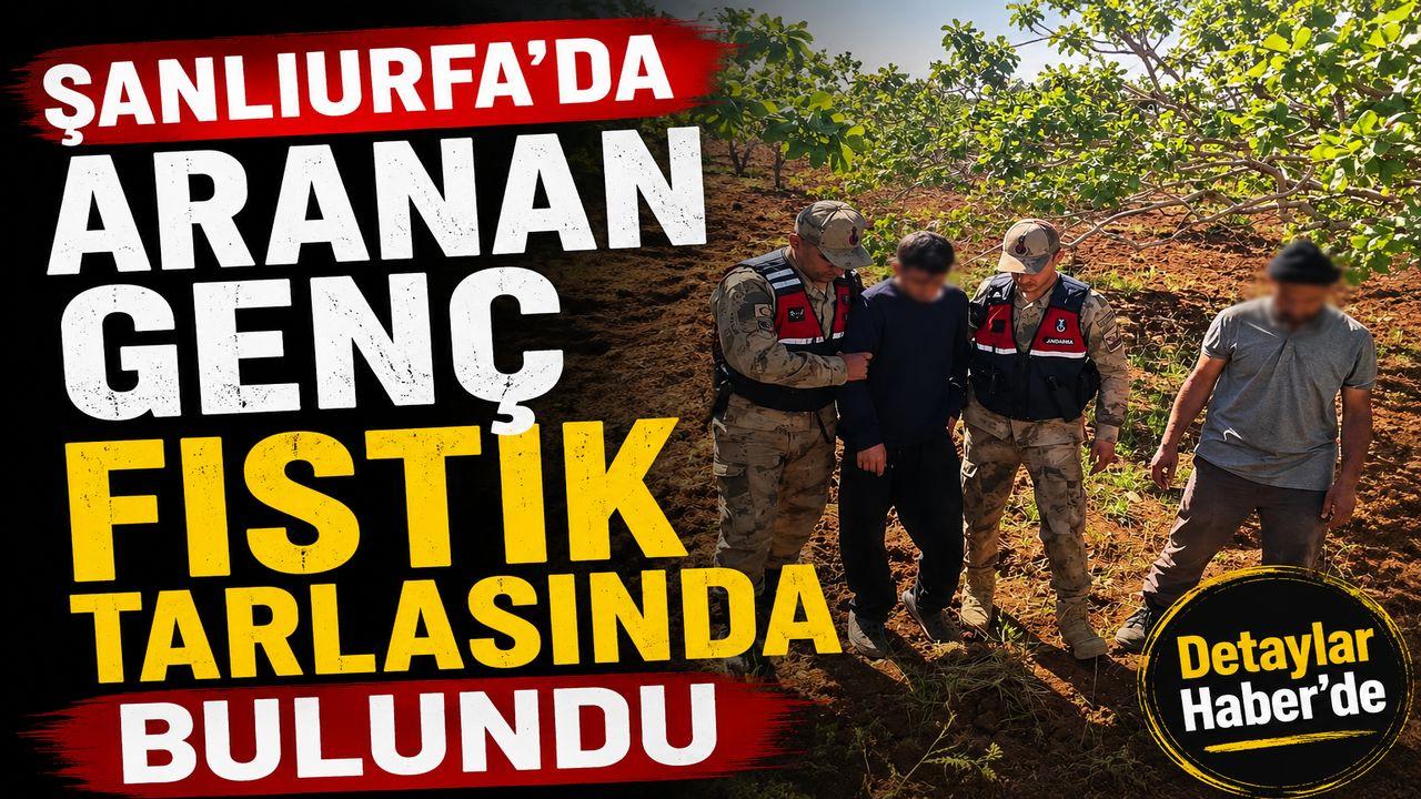 Şanlıurfa’da Kayıp Genç Fıstık Tarlasında Bulundu