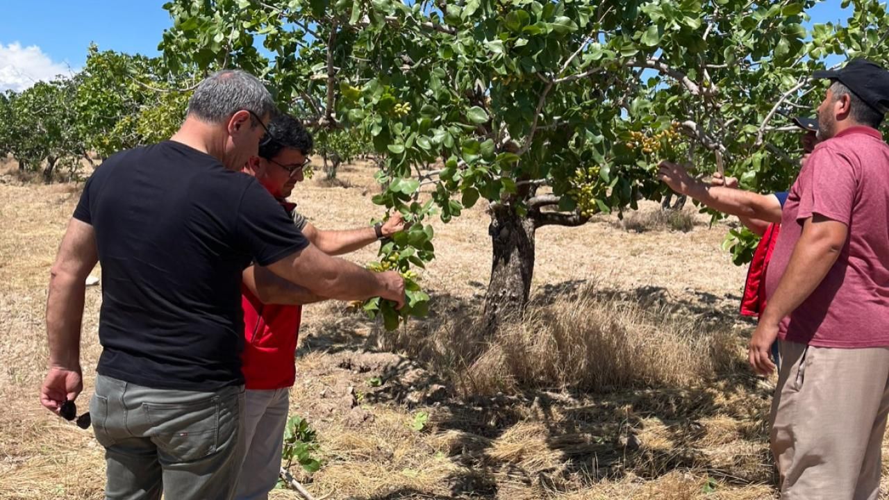 Hilvan’da Dolu ve Fırtına Hasarına Yerinde İnceleme
