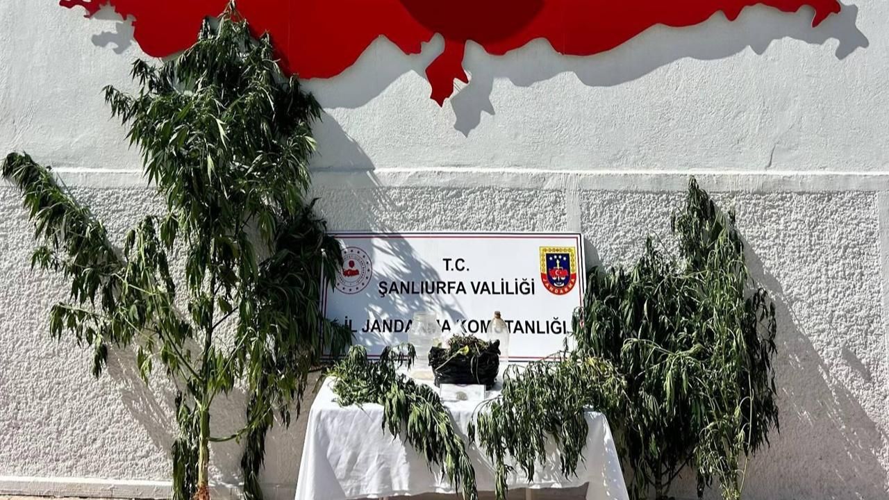 Hilvan'da Uyuşturucu Operasyonu: Kenevir ve Esrar Ele Geçirildi