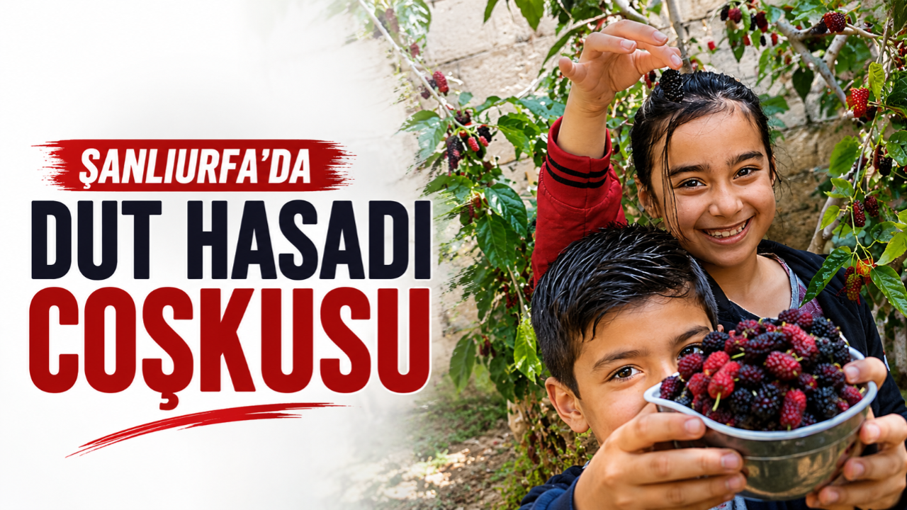 Şanlıurfalı Öğrenciler Bahçede Hasat Sevinci Yaşadı