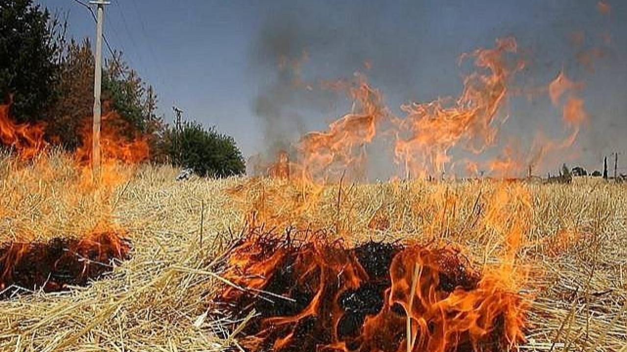 Uzmanlardan Çiftçilere Kritik Uyarı: Büyük Tehlike Oluşturuyor