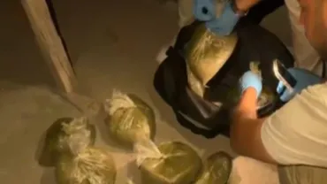 57 İlde Narkotik Operasyonu: 355 Kilogram Ele Geçirildi