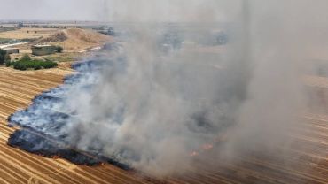 Urfa'da Anız Yakanlara Milyonluk Ceza Kesildi